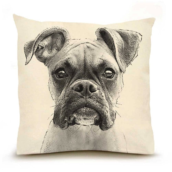Eric And Christopher Pillows, Large