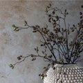 Abigail Ahern Barberry