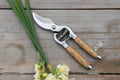 Earth & Nest Ash Wood Secateurs