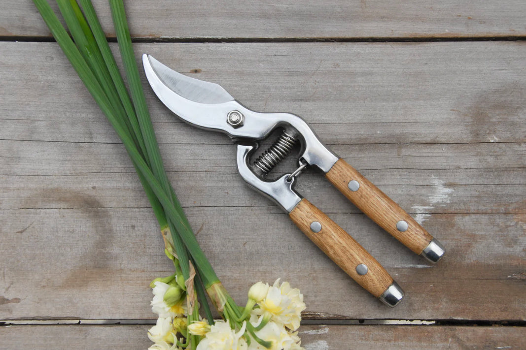 Earth & Nest Ash Wood Secateurs