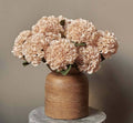 Abigail Ahern Hydrangea Vanilla Stem