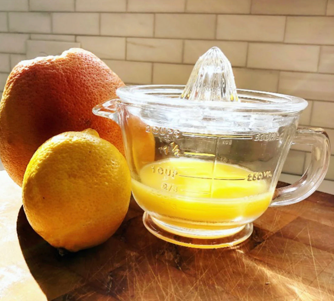 Earth & Nest Citrus Juicer