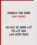 Warren Tales New House Cat