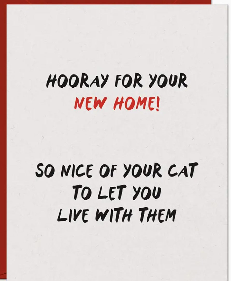 Warren Tales New House Cat