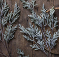 Abigail Ahern Pine Branch, Frost
