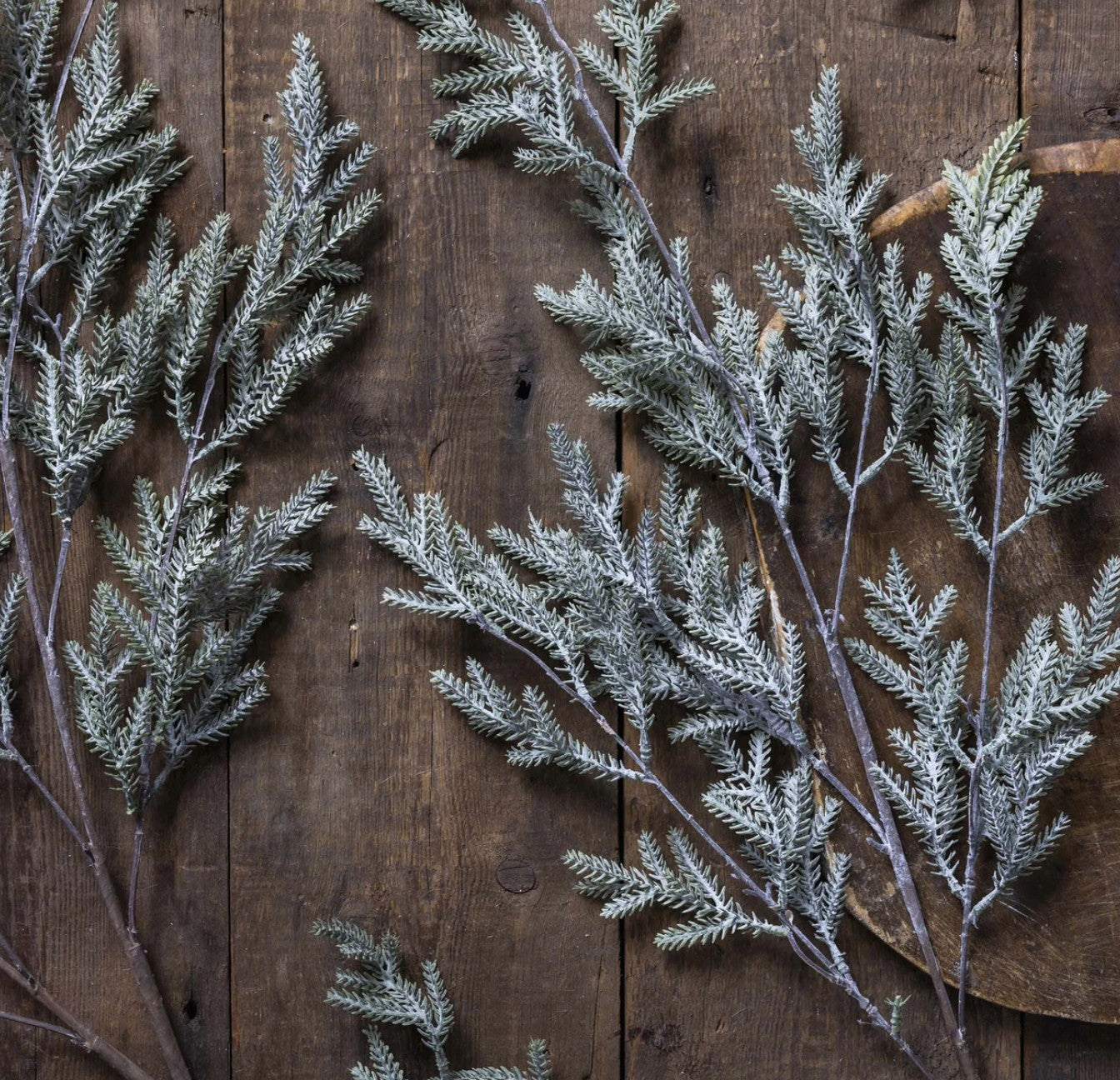 Abigail Ahern Pine Branch, Frost