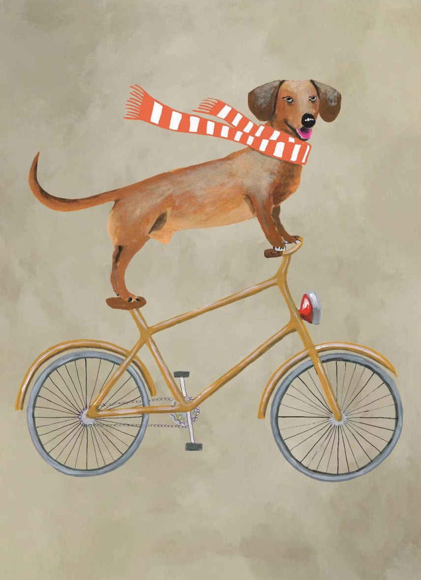 East End Dachshund with Scarf on Bicycle
