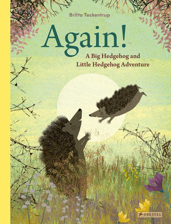 Again! A Big Hedgehog and little Hedgehog Adventure