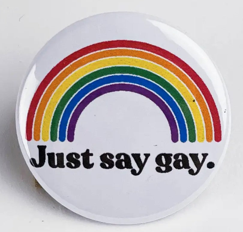 Culture Flock Just Say Gay Pin