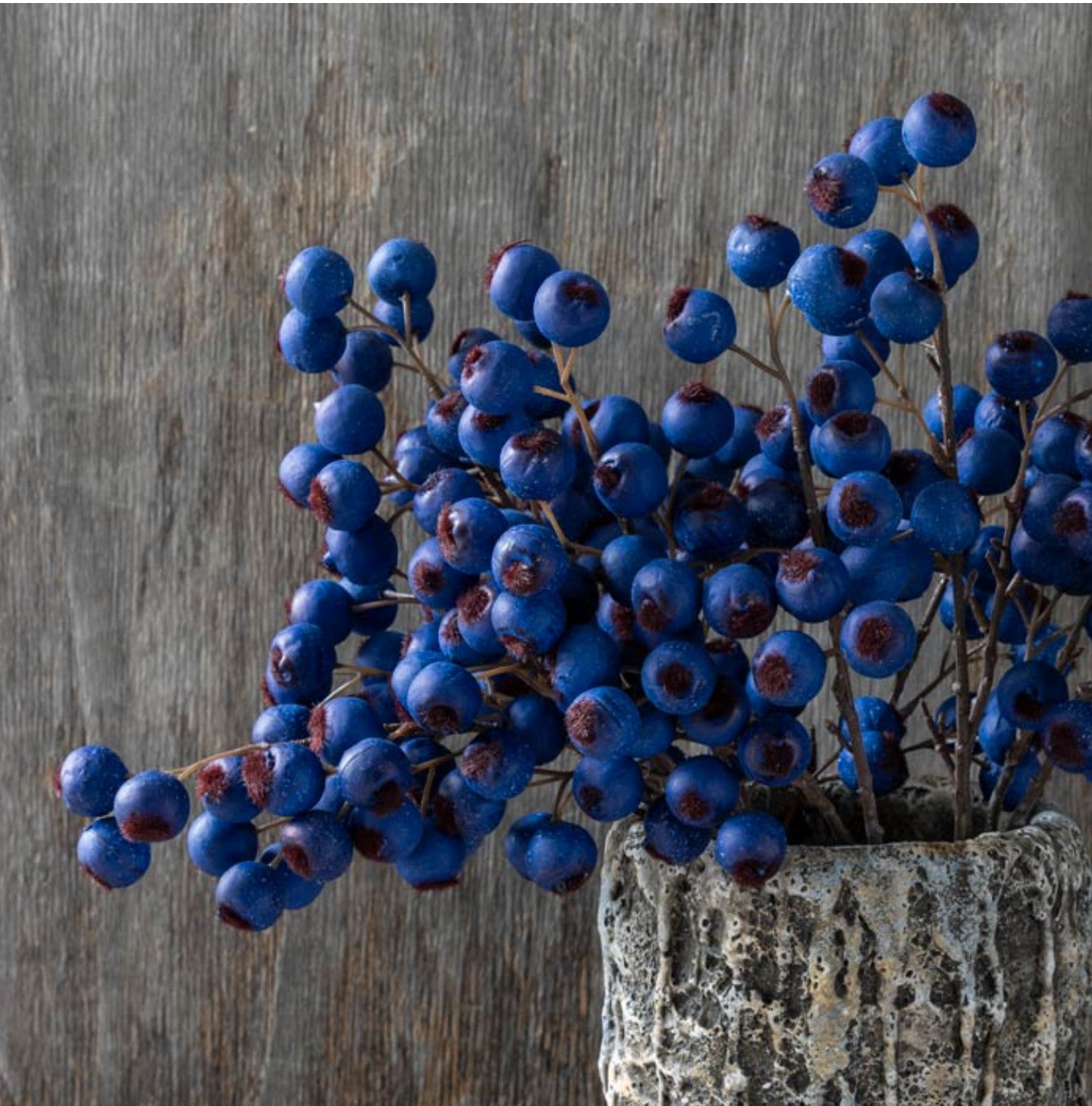 Abigail Ahern Hawthorn Berry Midnight