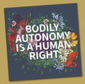 Transpainter Bodily Autonomy is a Human Right Sticker
