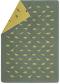 David Fussenegger Dinosaurs All Over Blanket