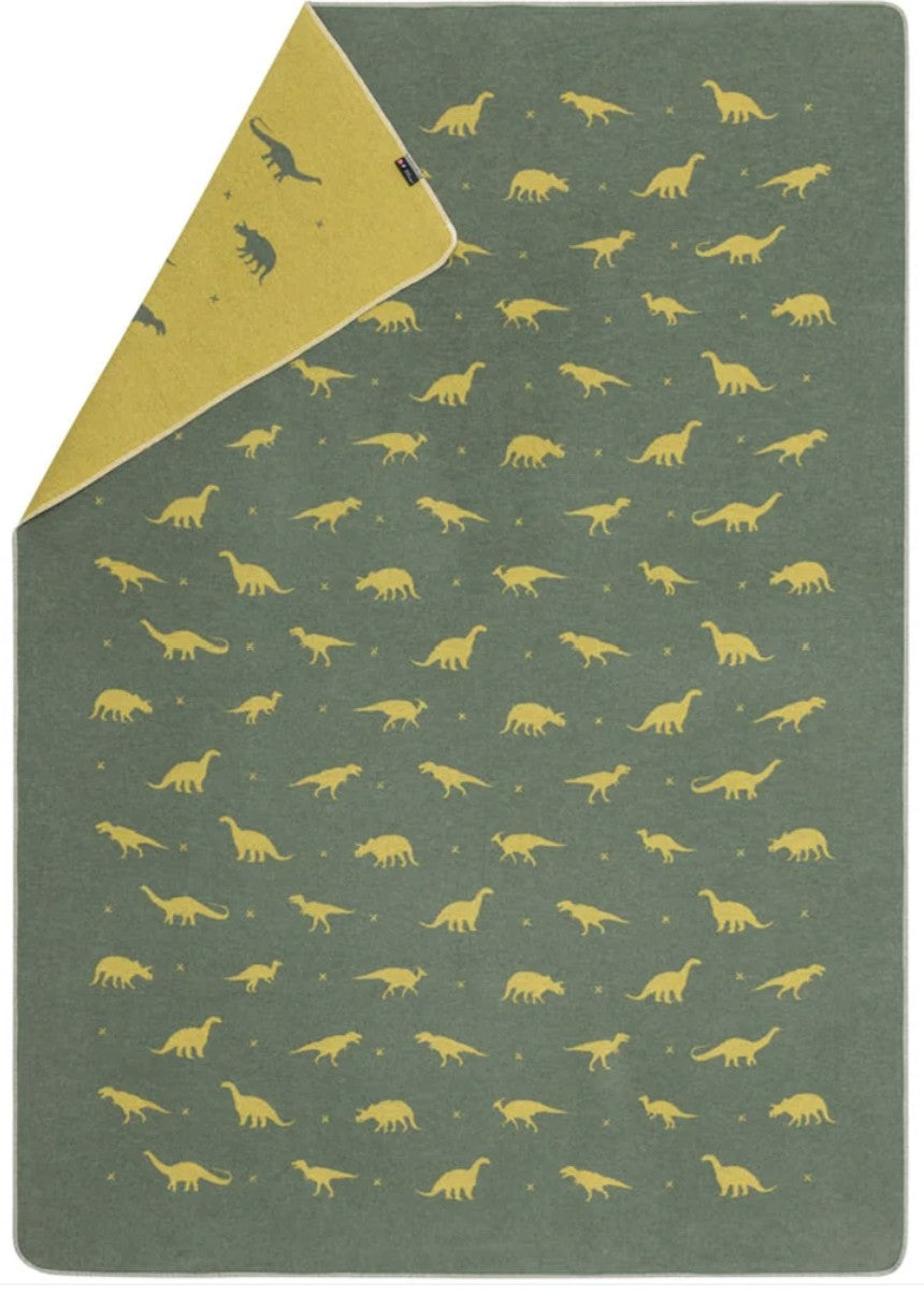 David Fussenegger Dinosaurs All Over Blanket