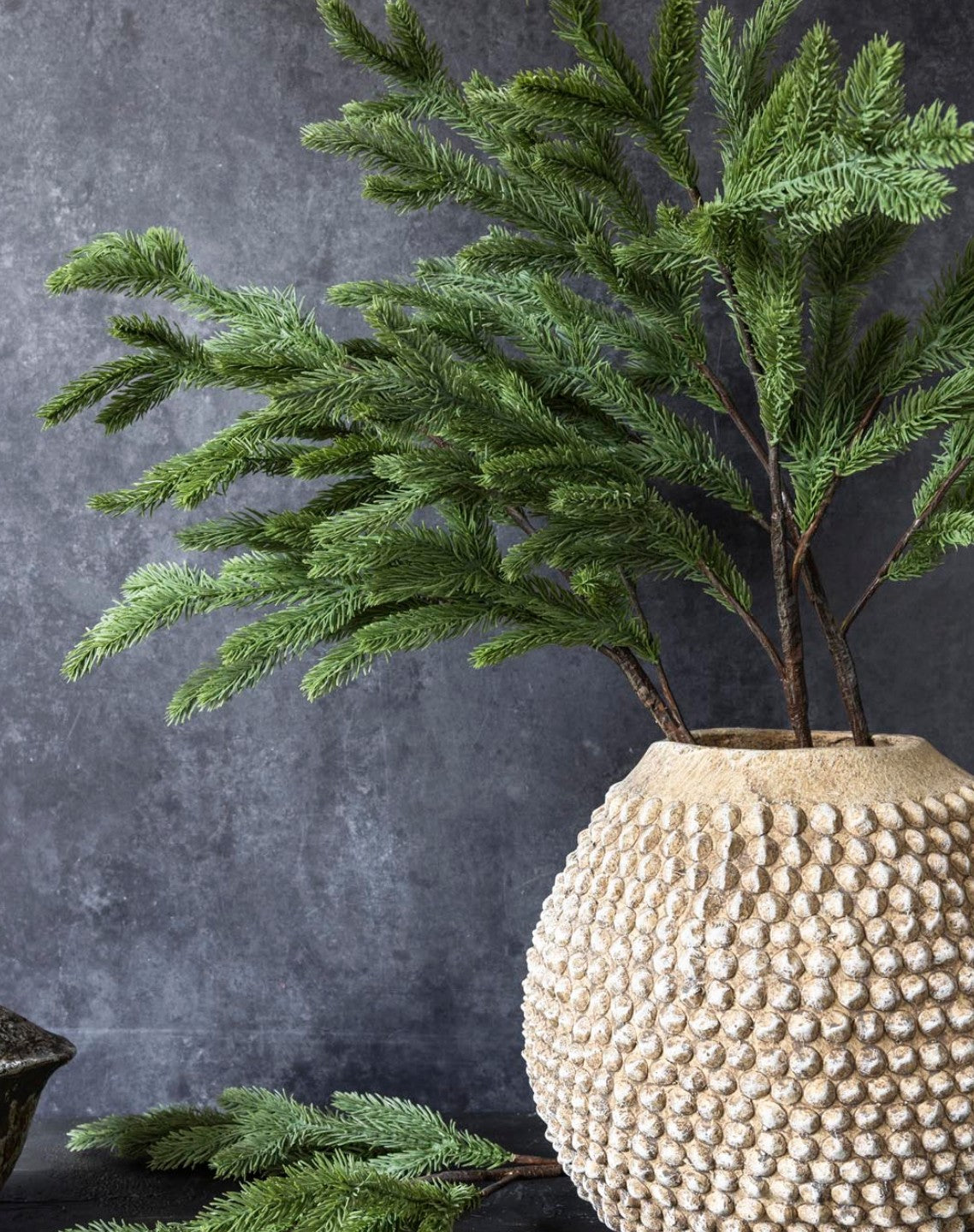 Abigail Ahern Foxtail Pine