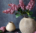 Abigail Ahern Cone Hydrangea Sunset