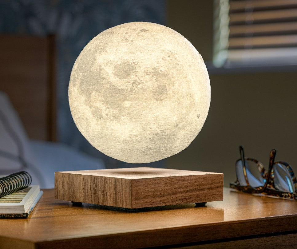 Gingko Smart Moon Lamp