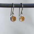 Thicket Honeycomb Prism Earrings