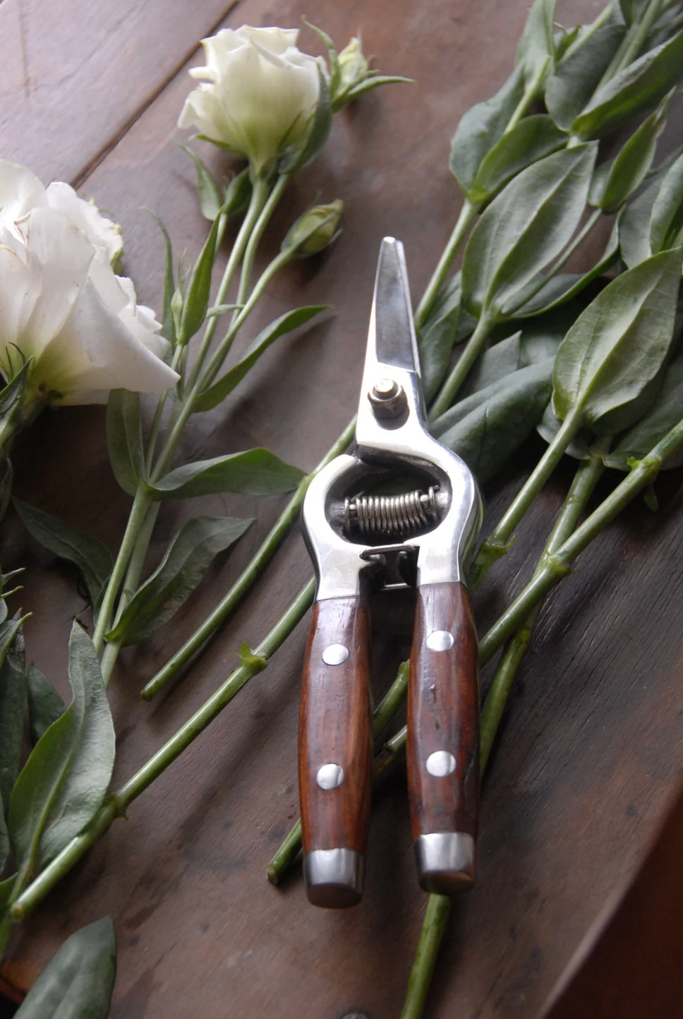 Earth & Nest Rosewood Snips