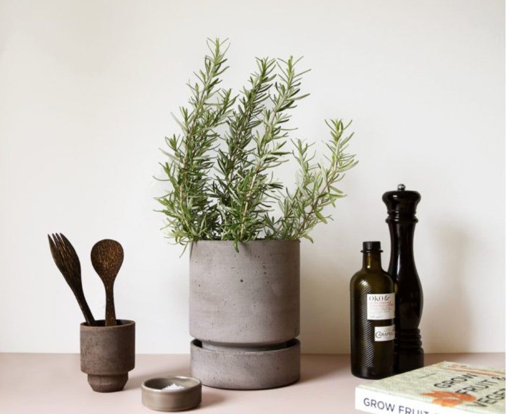 Bergs Hoff Grey 18cm Pot