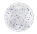 Rosanna Love Bowls Heavy Splatter - Periwinkle