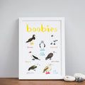Sarah Edmonds Boobies Print