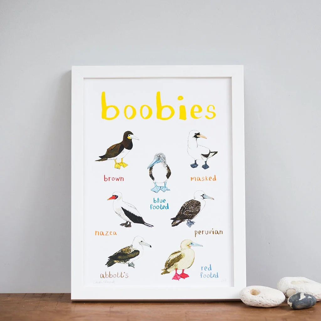 Sarah Edmonds Boobies Print