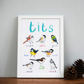 Sarah Edmonds Tits Print