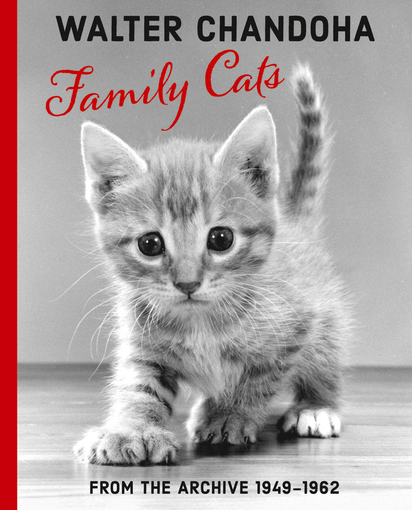 Walther Chandoha Family Cats