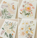 Whitney Rain Studios Variety Set of Six Wildflower Notecards